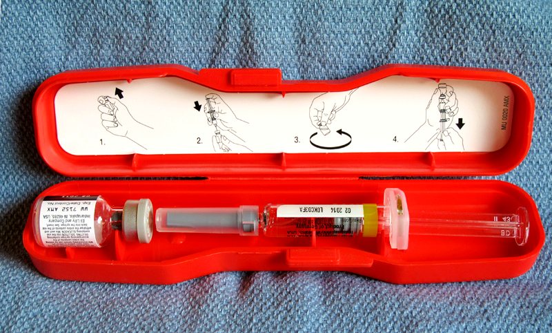 glucagon emergency kit