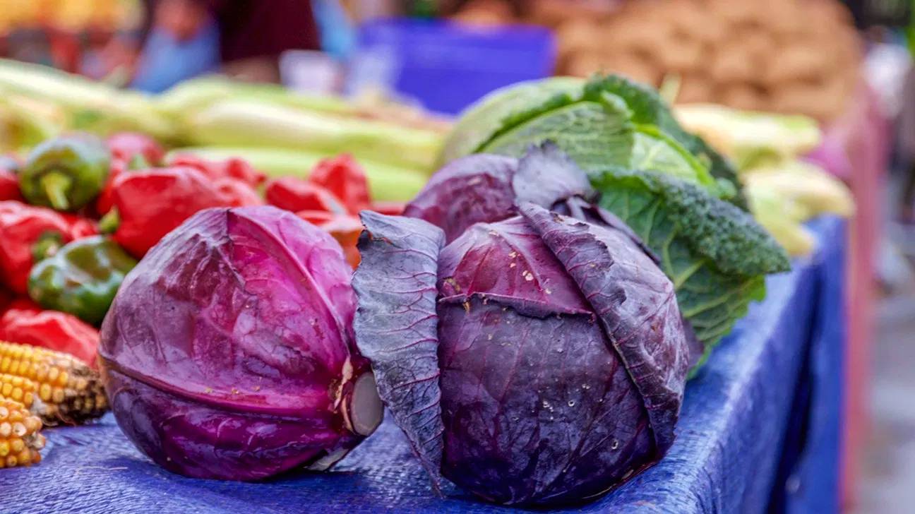 Benefits of purple cabbage