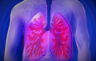 ফুসফুস ভালো রাখার ২০টি খাবার 10 Healthy Lungs