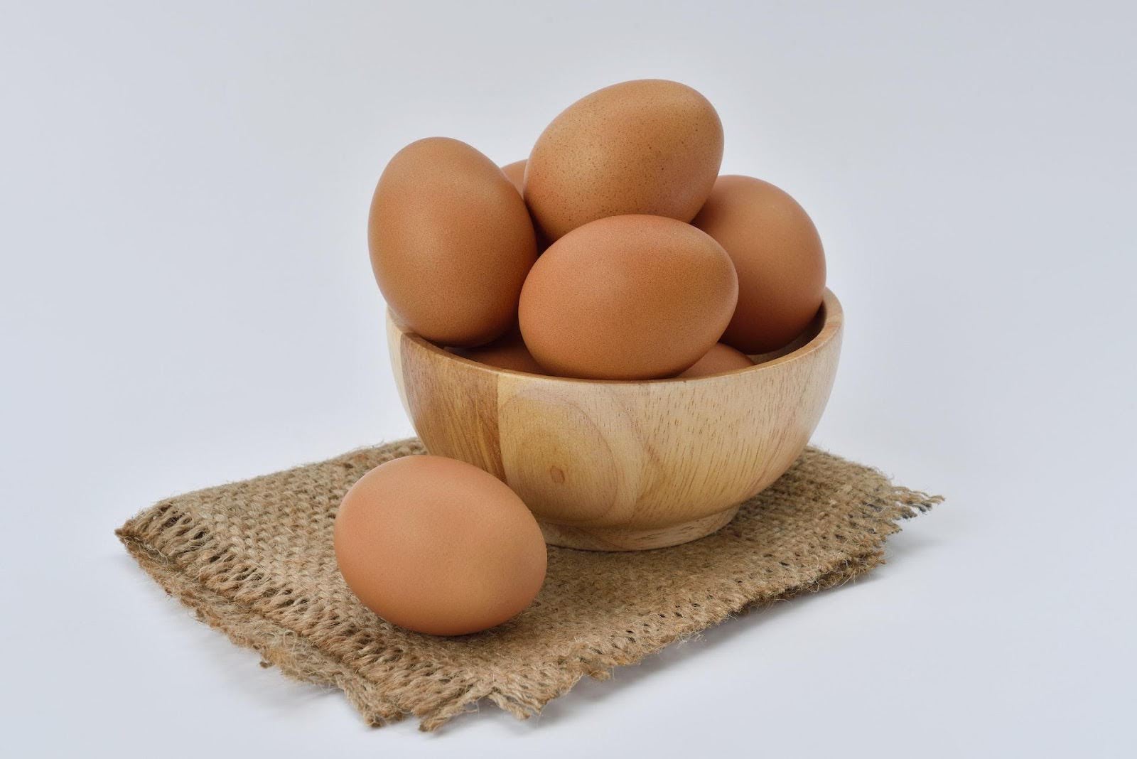 protein in egg