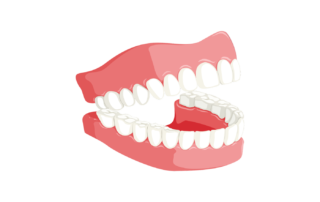 healthy teeth